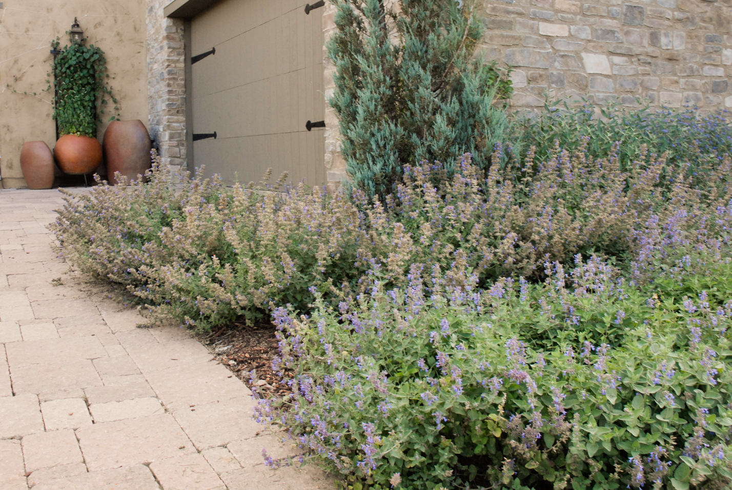 Patio Home Curb Appeal